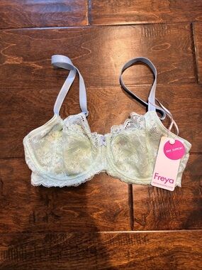 Freya Lace Offbeat Side Support Underwire Bra in pure water 30DD